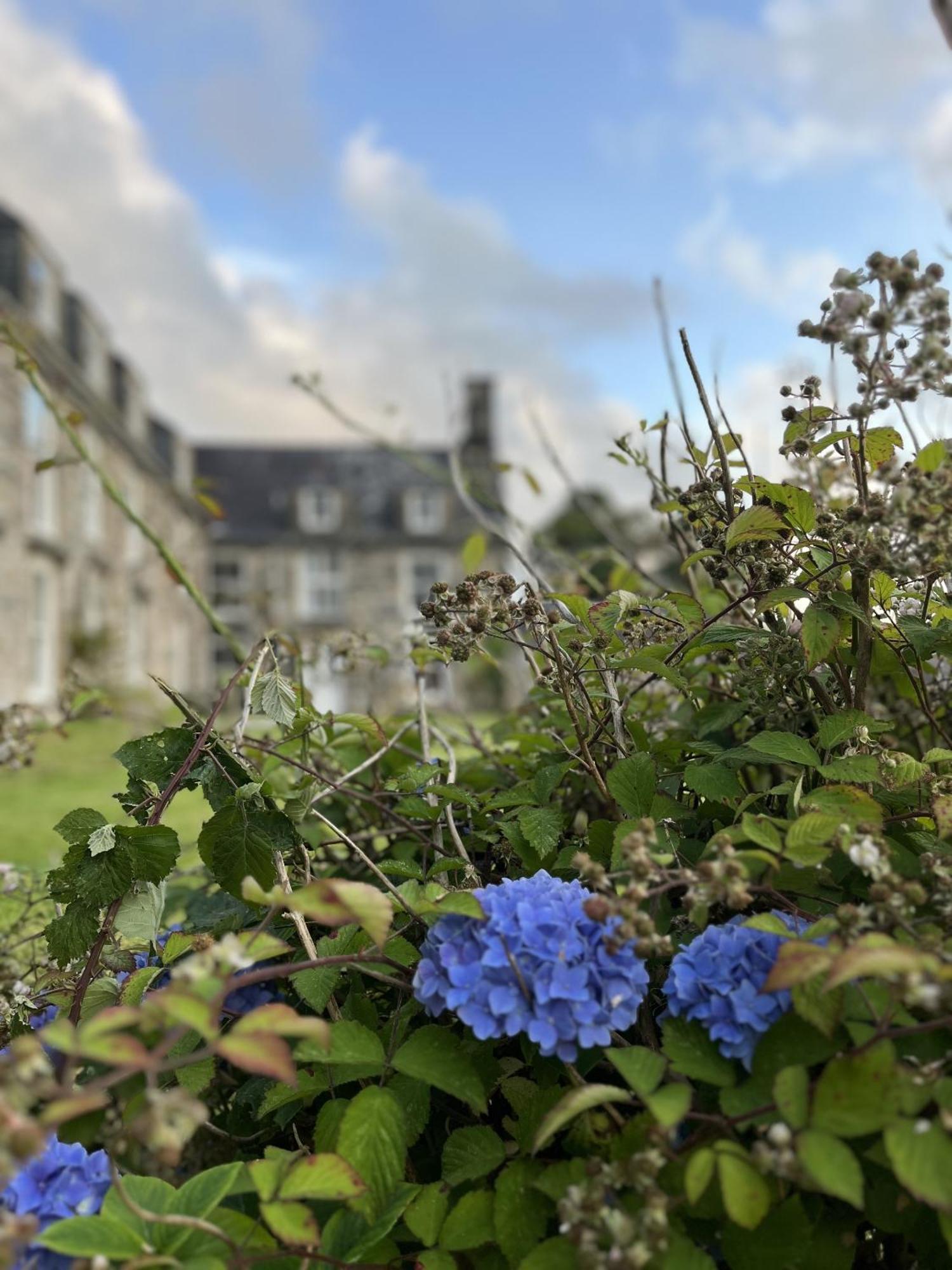 Maes Y Neuadd Talsarnau Chambre photo